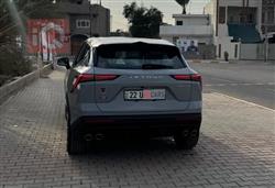 جيتور داشينج